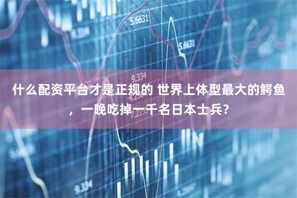 什么配资平台才是正规的 世界上体型最大的鳄鱼，一晚吃掉一千名日本士兵？